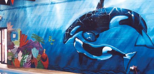 Large indoor pool wall mural at a health club 